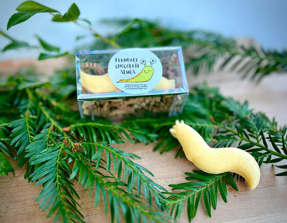 Mini Chocolate Banana Slug
