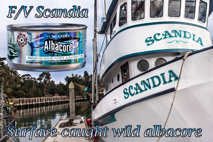 Scandia Albacore Tuna 6.0 oz