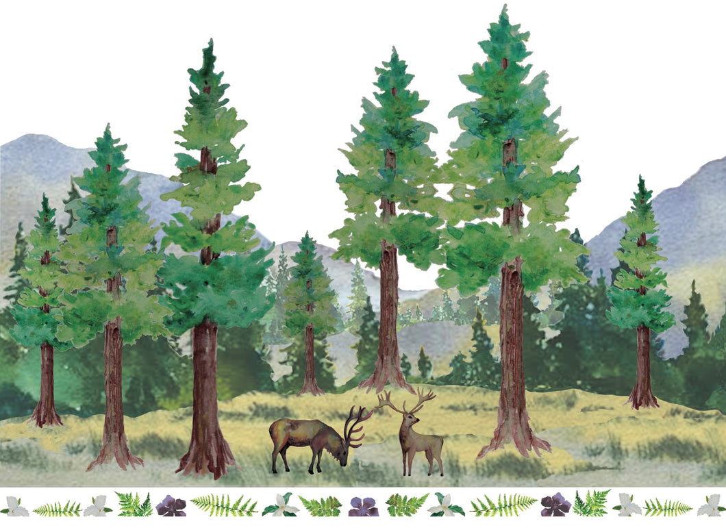 Amy’s Tea Towels Elk and Redwoods